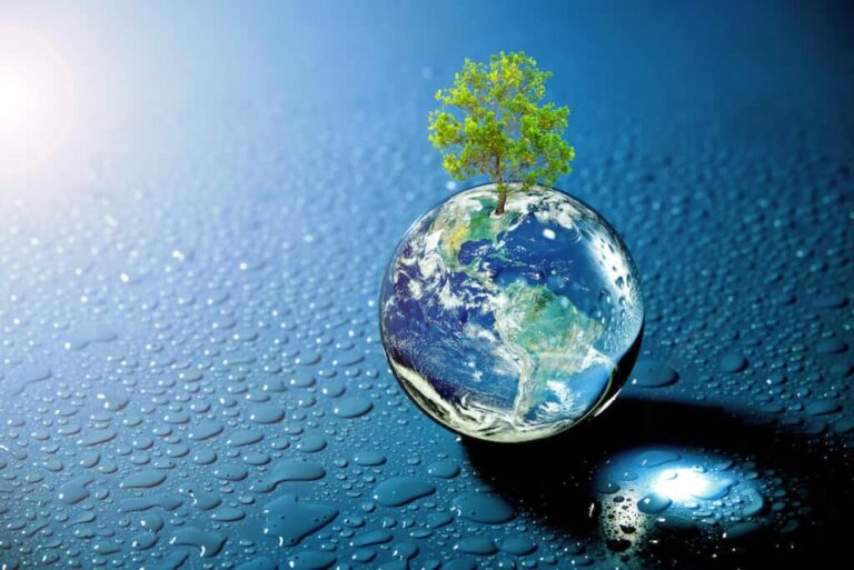 A perfectly planted globe resting on the refreshing water