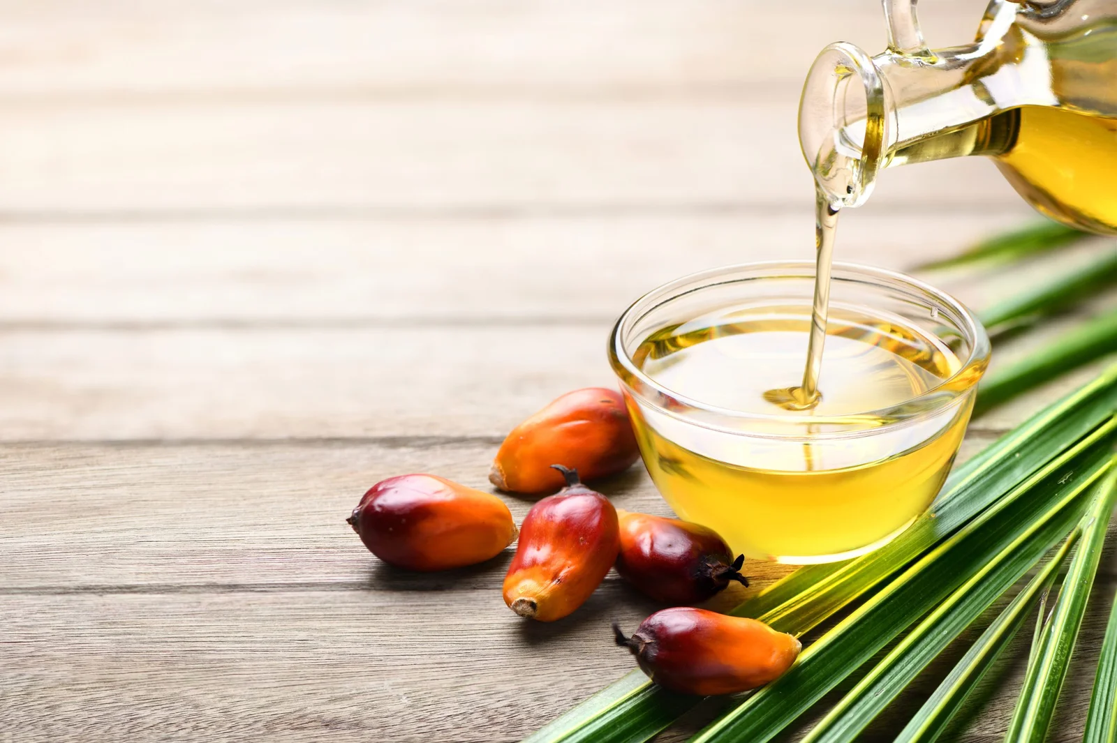 Oil-palm-fruit-and-palm-oil-scaledVI