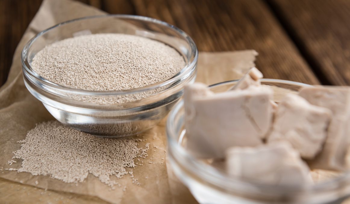 fermentation-in-yeast-can-occur-without-1